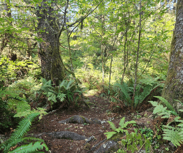 Walking and biking trails profile photo