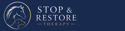 Website Logo.png