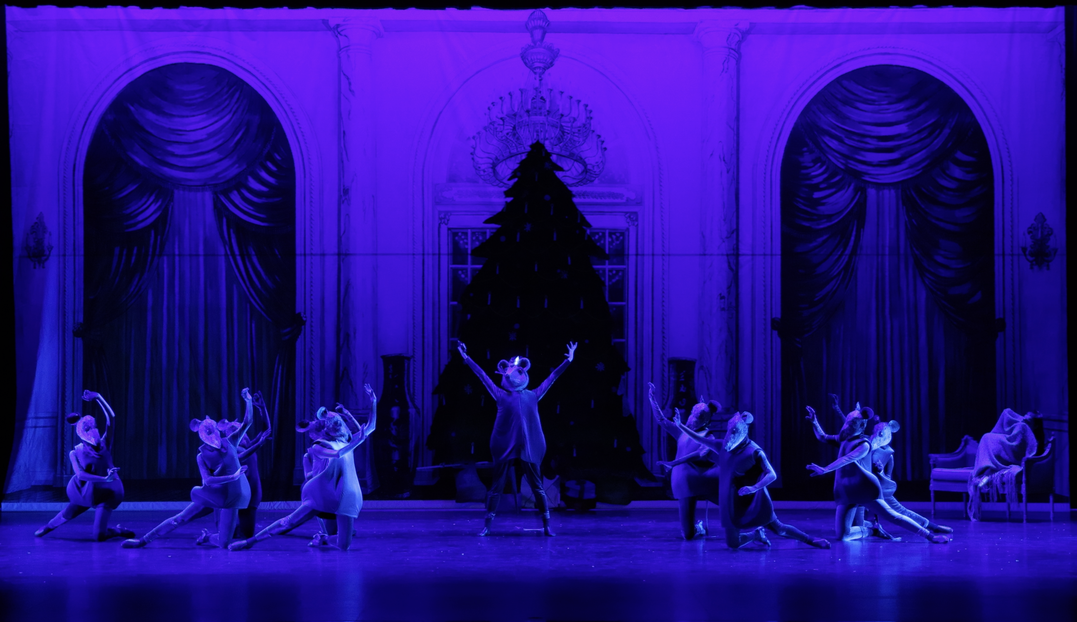 Perform in the Nutcracker